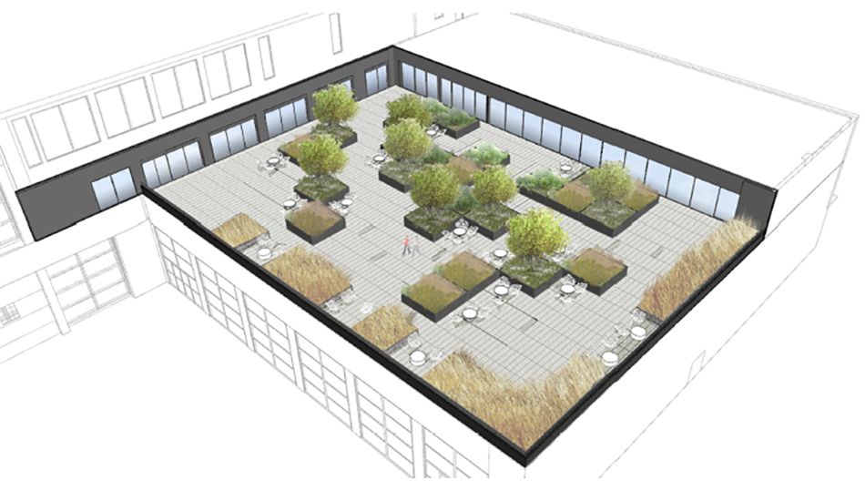 Google Rooftop Planters