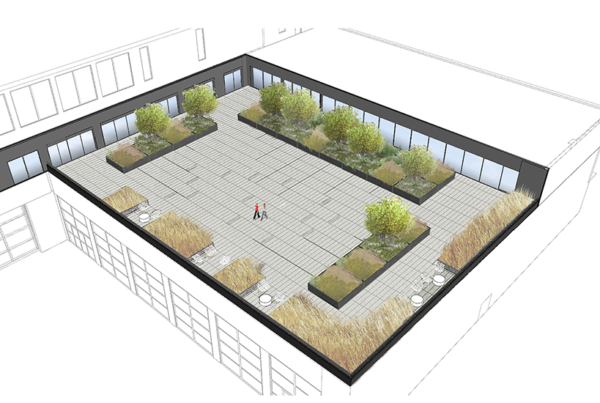 Google Rooftop Planters